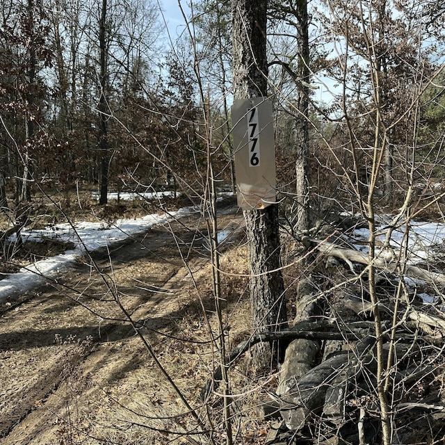 view of local wilderness