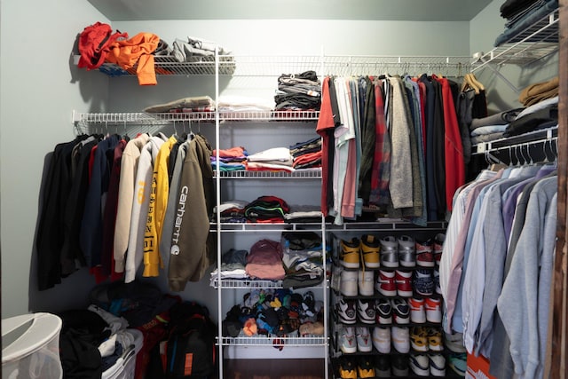 view of walk in closet