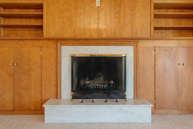 details with a fireplace and carpet