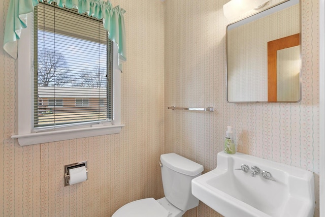 bathroom featuring a sink, toilet, and wallpapered walls