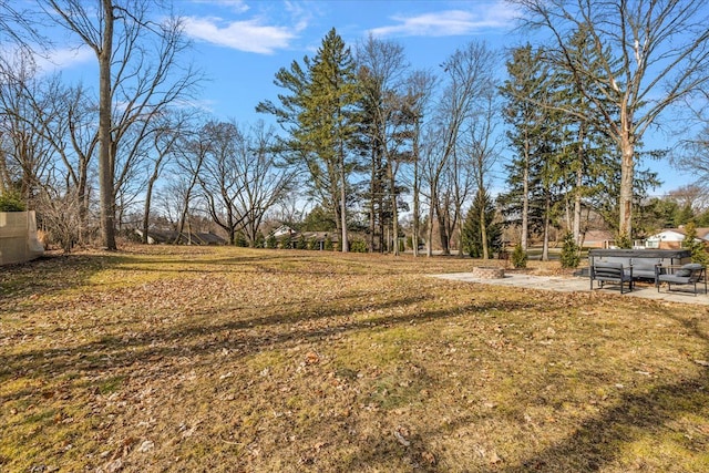 view of yard with a patio