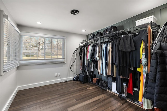 walk in closet featuring wood finished floors