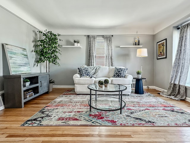 living room with baseboards and wood finished floors