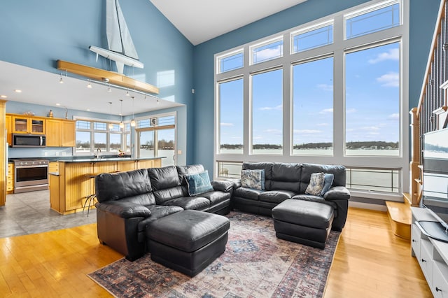 living room with high vaulted ceiling and light wood-style flooring