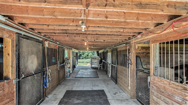 view of horse barn