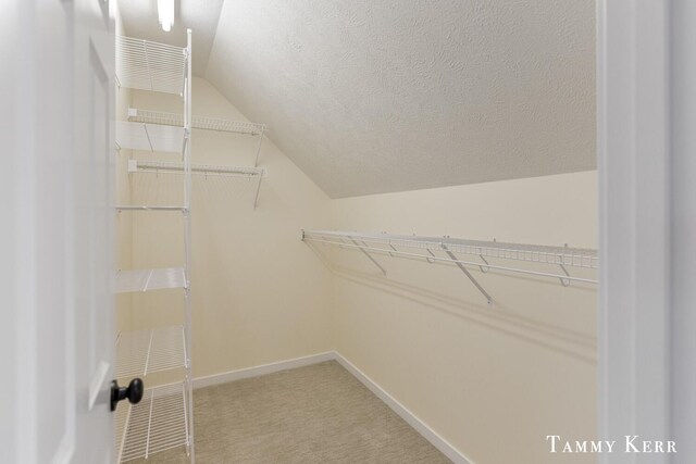 spacious closet featuring light carpet and vaulted ceiling