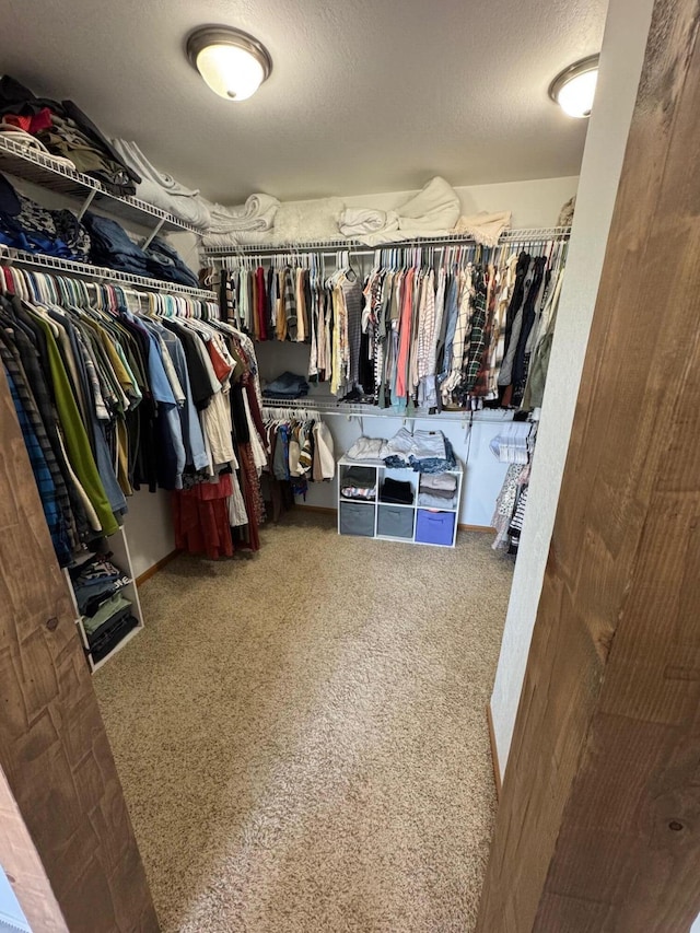 spacious closet with carpet flooring