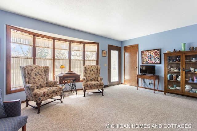 living area featuring a textured ceiling, baseboards, and carpet