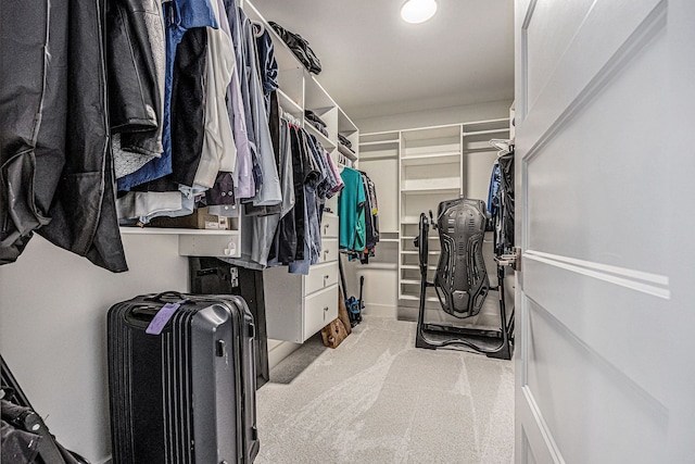 walk in closet featuring carpet