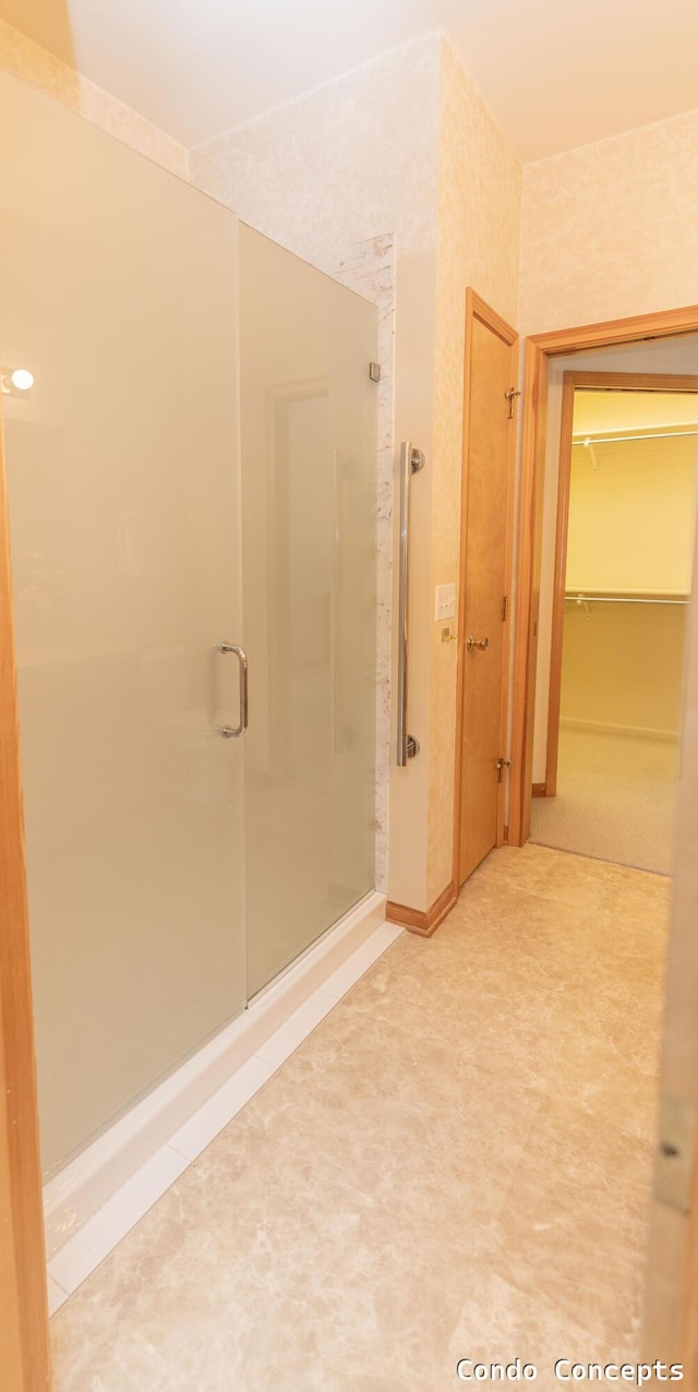 bathroom featuring a walk in closet and a stall shower