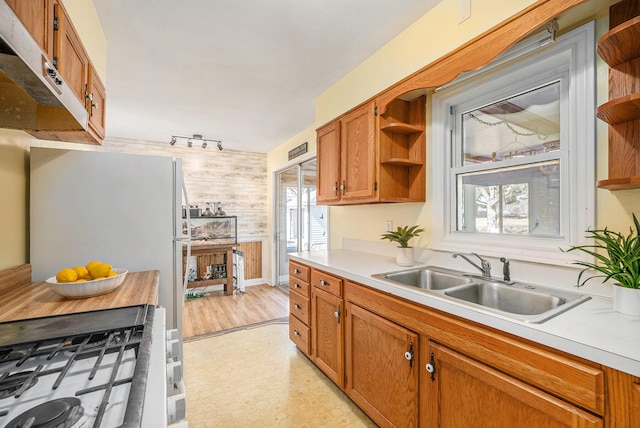 kitchen with open shelves, plenty of natural light, light countertops, and a sink