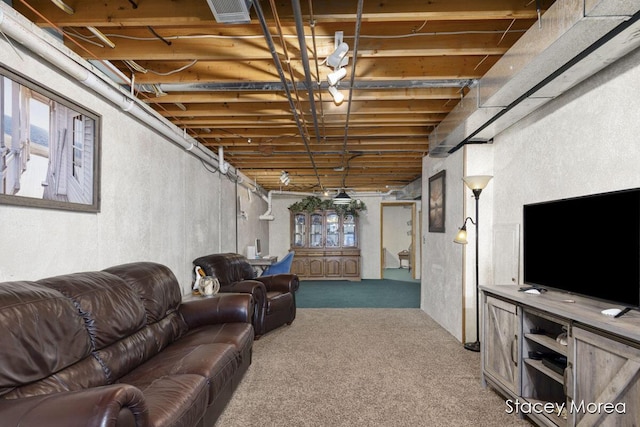 carpeted living area with visible vents