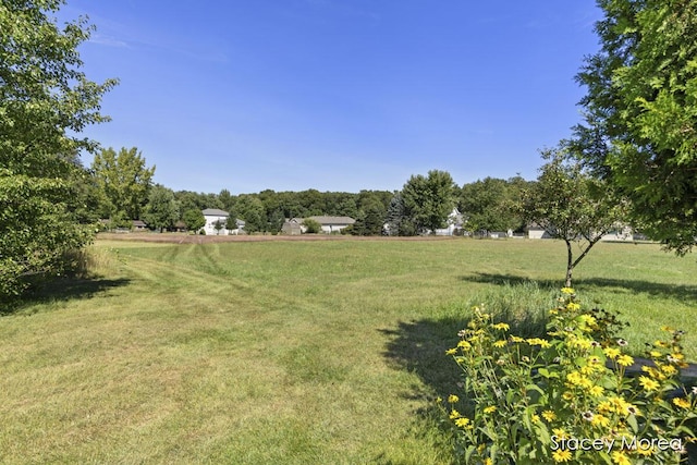 view of yard with a rural view