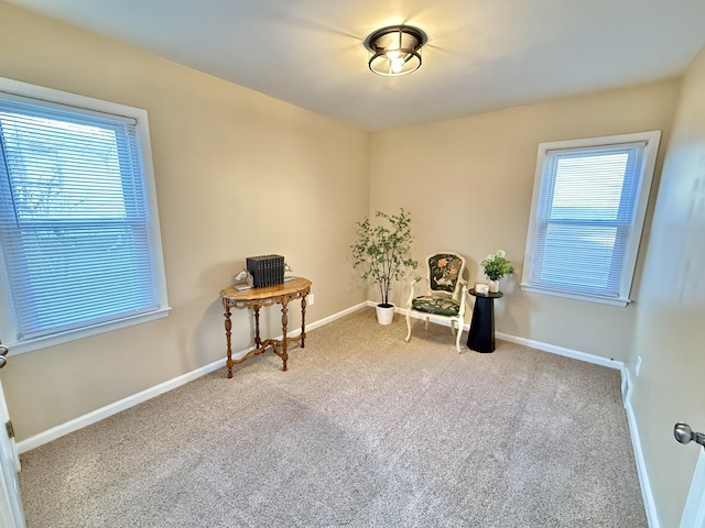 unfurnished room with baseboards and carpet flooring