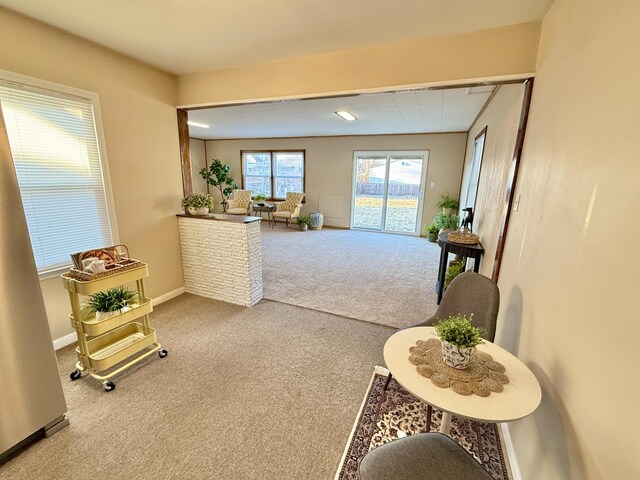 interior space with baseboards and carpet floors