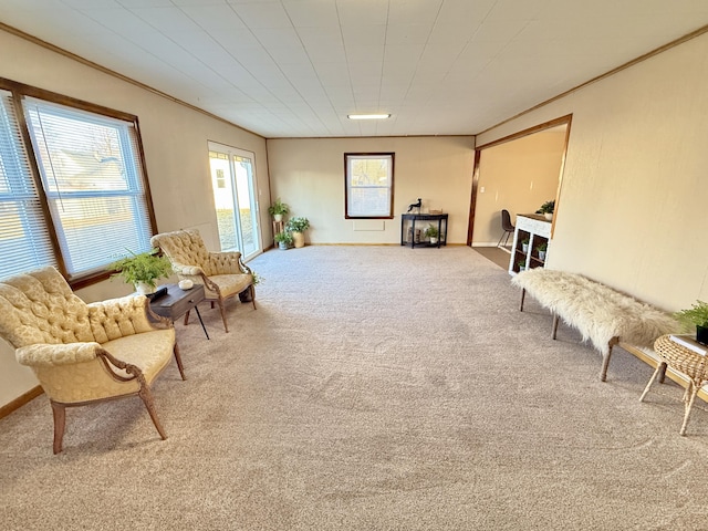 living area featuring crown molding, baseboards, and carpet floors