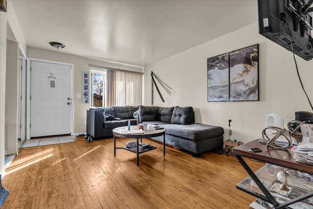 living area featuring light wood finished floors