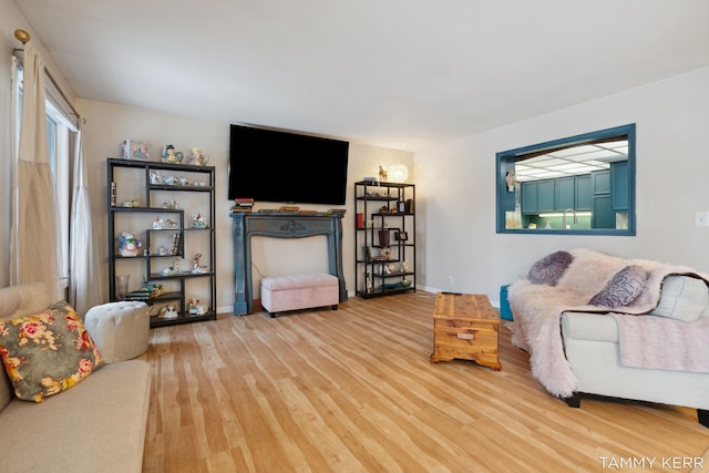 living room featuring baseboards and wood finished floors