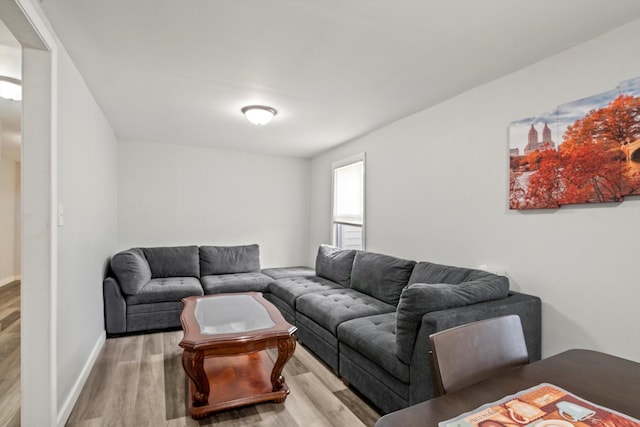 living area featuring baseboards and wood finished floors