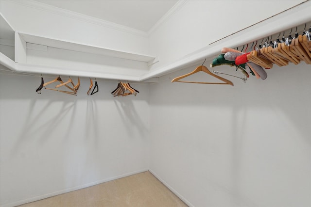 spacious closet featuring light colored carpet