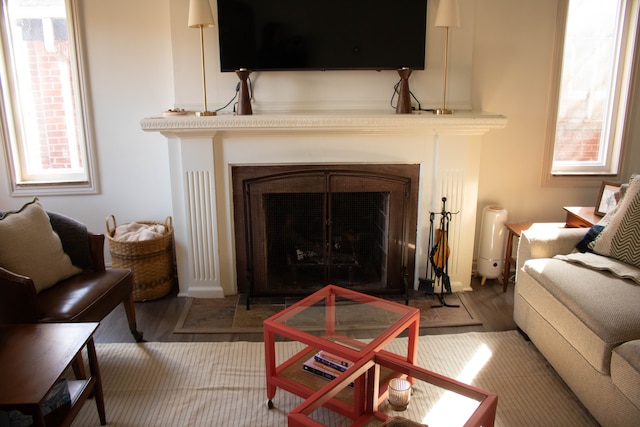 living room featuring a fireplace with flush hearth and wood finished floors