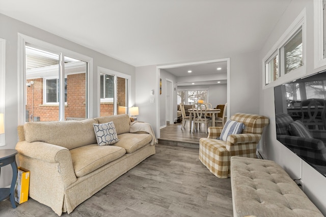 living area featuring recessed lighting and wood finished floors