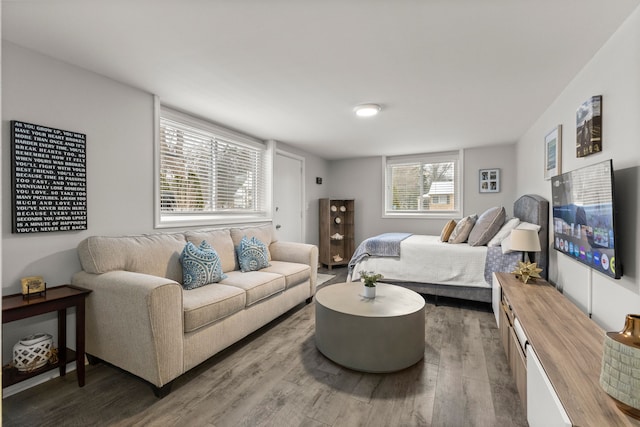 living room featuring wood finished floors