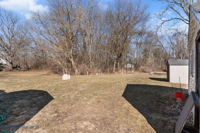 view of yard with an outbuilding and a storage shed