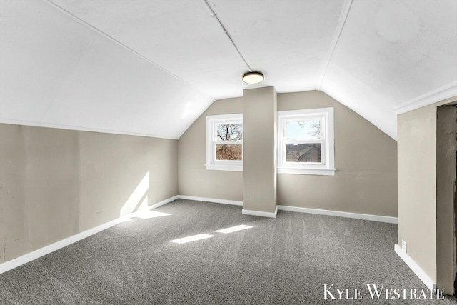 additional living space featuring carpet floors, baseboards, and vaulted ceiling