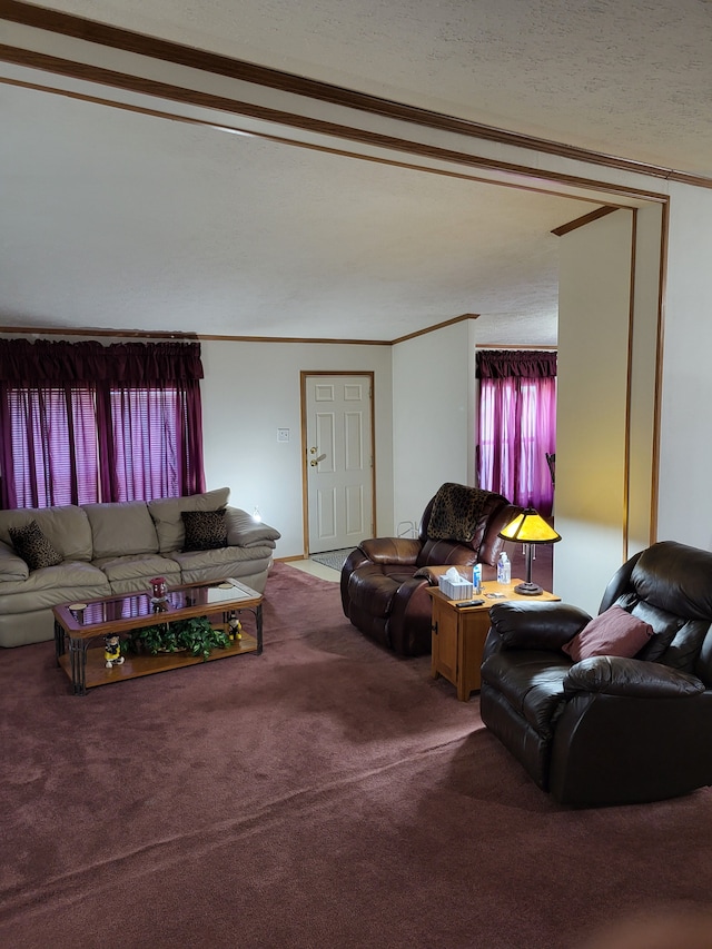 living room featuring a textured ceiling, carpet floors, and ornamental molding