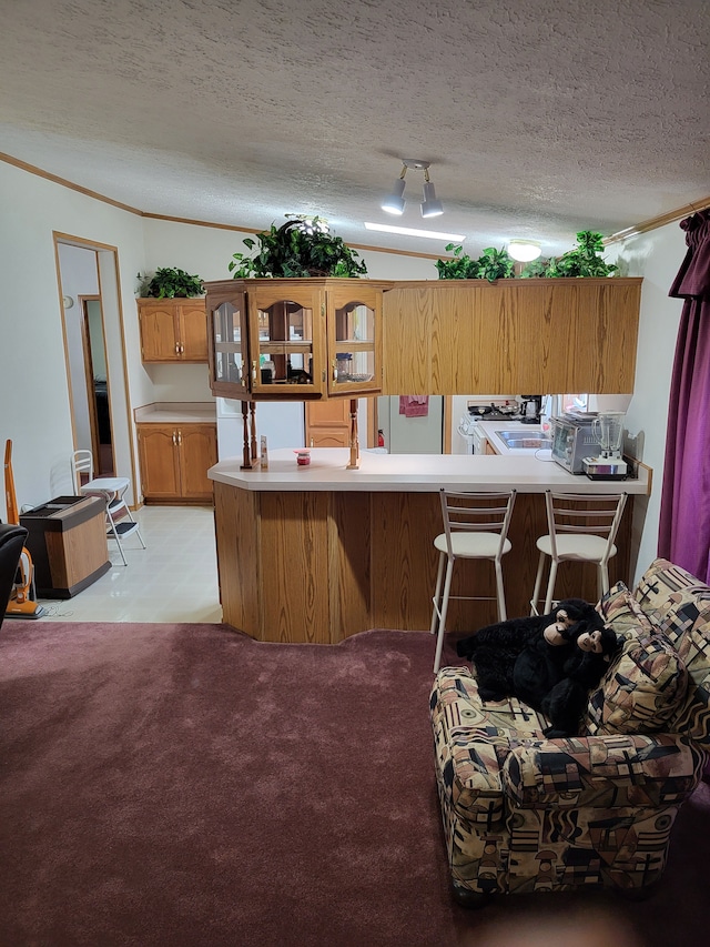 kitchen featuring light carpet, a textured ceiling, brown cabinetry, light countertops, and glass insert cabinets