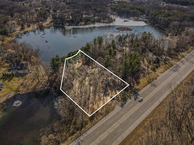 birds eye view of property with a forest view and a water view