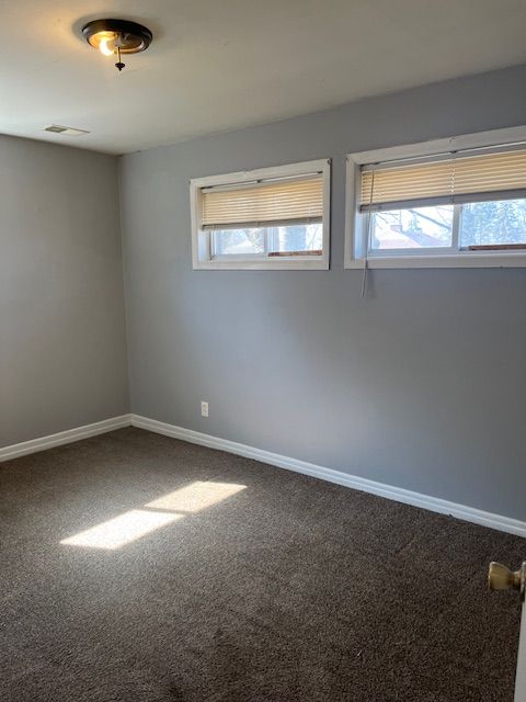 empty room featuring visible vents, baseboards, and carpet