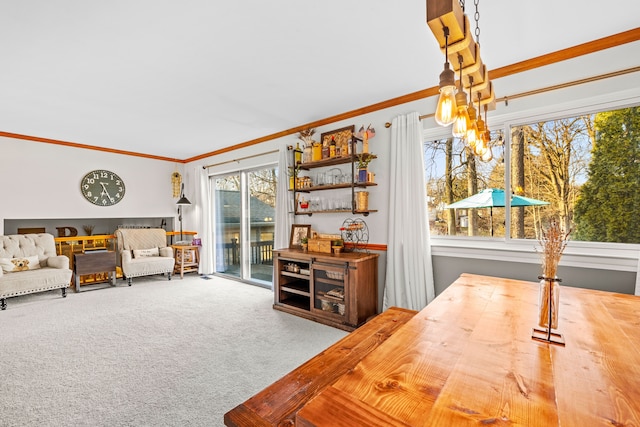 living area with carpet and ornamental molding