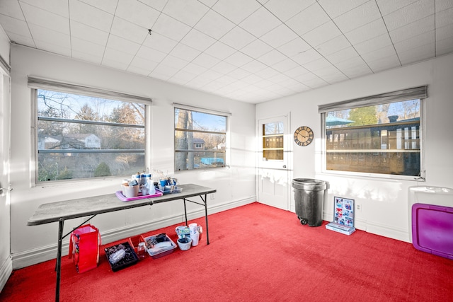 miscellaneous room featuring baseboards and carpet floors