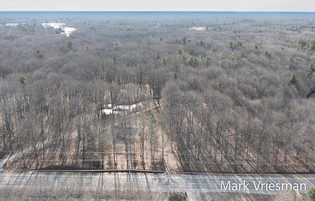 drone / aerial view featuring a forest view