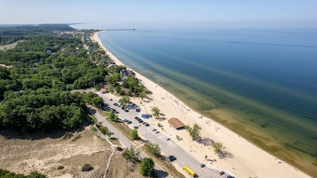 aerial view with a water view and a view of the beach