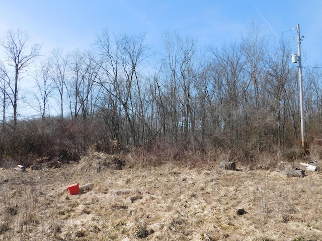 view of local wilderness