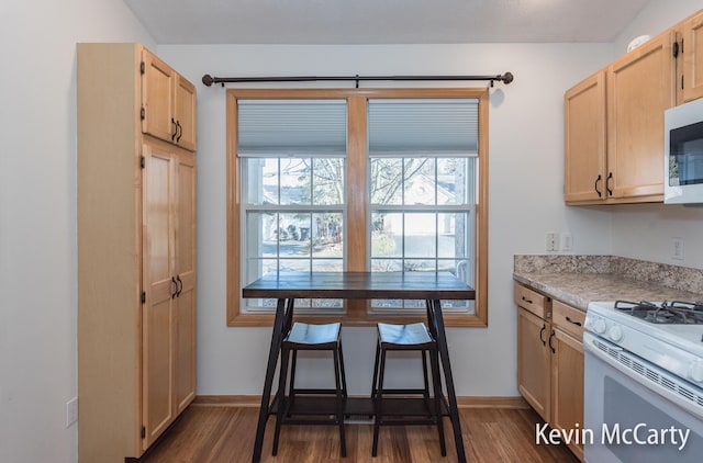 kitchen featuring a wealth of natural light, dark wood finished floors, and white appliances