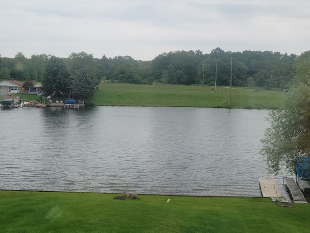 property view of water featuring a boat dock