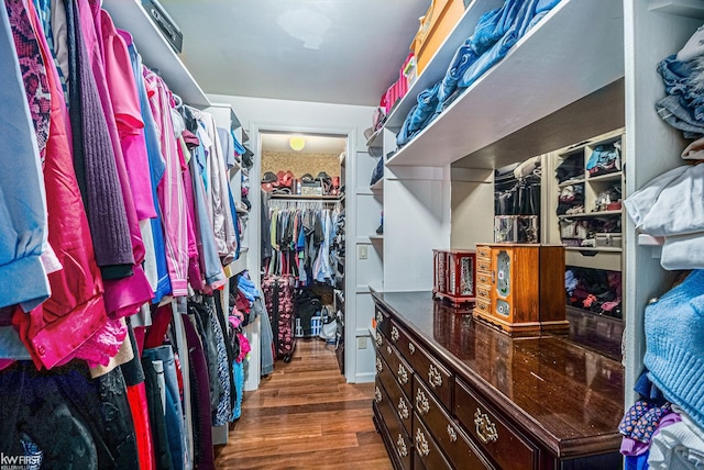 walk in closet featuring wood finished floors