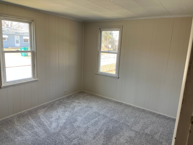 empty room featuring carpet flooring, a healthy amount of sunlight, baseboards, and ornamental molding