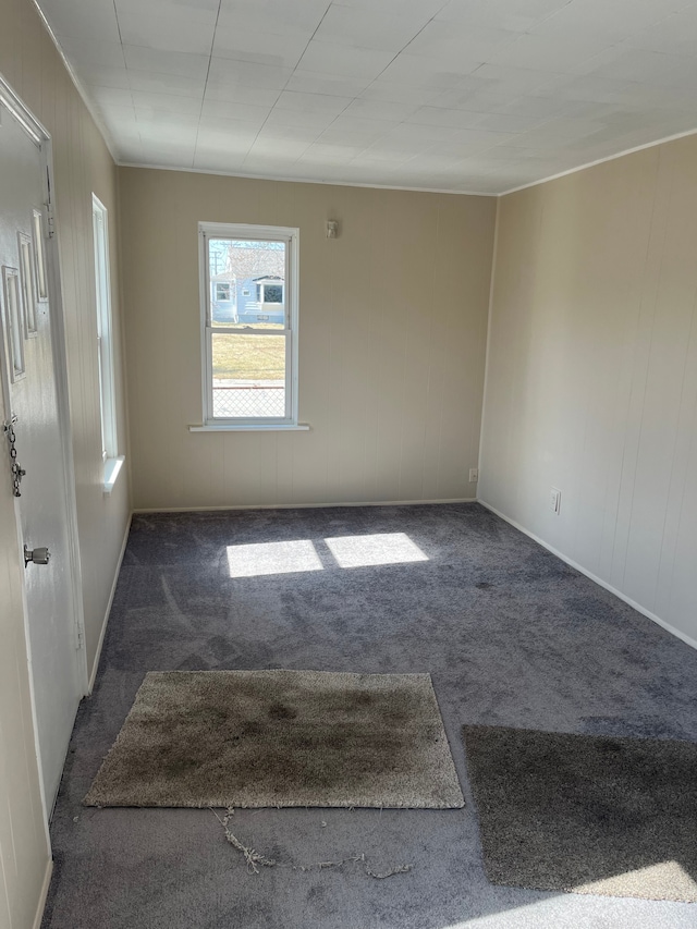 empty room featuring carpet floors