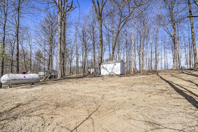 view of yard with an outbuilding and a shed