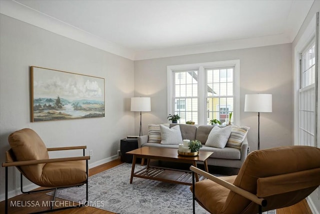 living room featuring a wealth of natural light, crown molding, baseboards, and wood finished floors