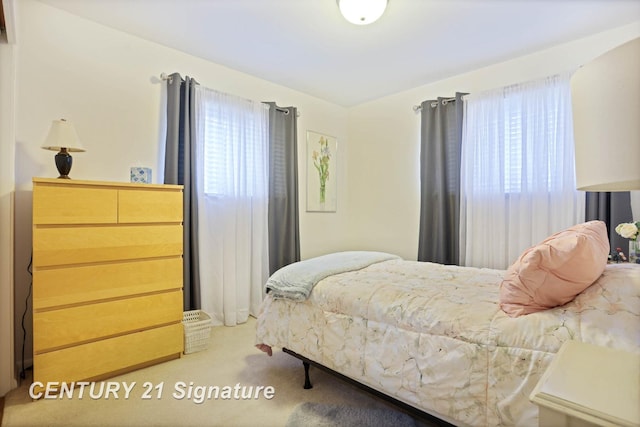 bedroom with carpet flooring and multiple windows