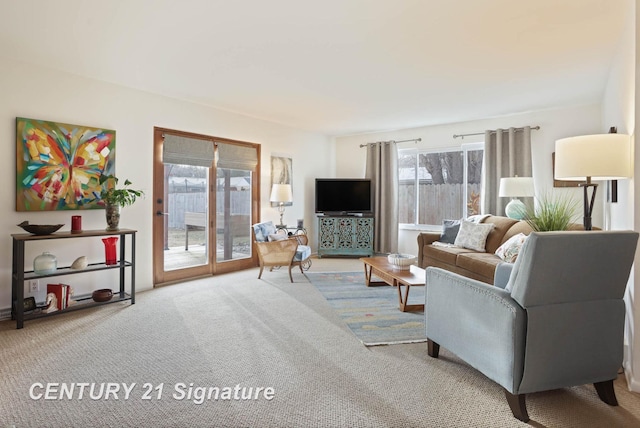 living area featuring carpet flooring