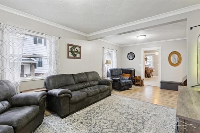 living area with baseboards, wood finished floors, and crown molding