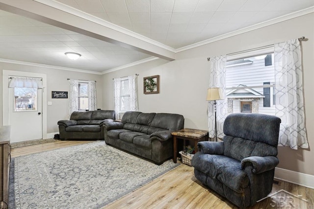 living room featuring baseboards, wood finished floors, and ornamental molding