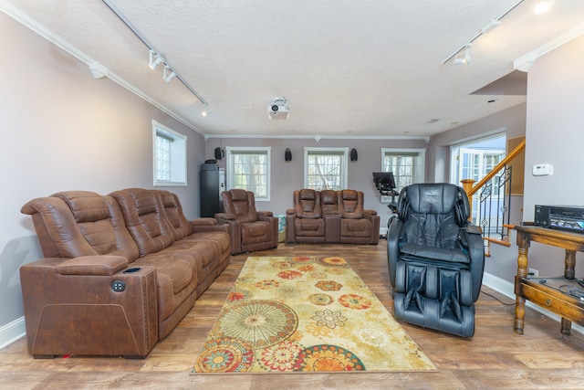 living room with wood finished floors, baseboards, and ornamental molding